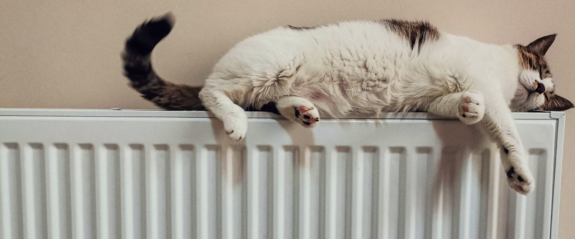 Calor en el hogar - Carmanzana